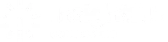 logo insightfull branco